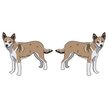 Signmission Norwegian Lundehund Dog Decal, Dog Lover Decor Vinyl Sticker D-24-Norwegian Lundehund